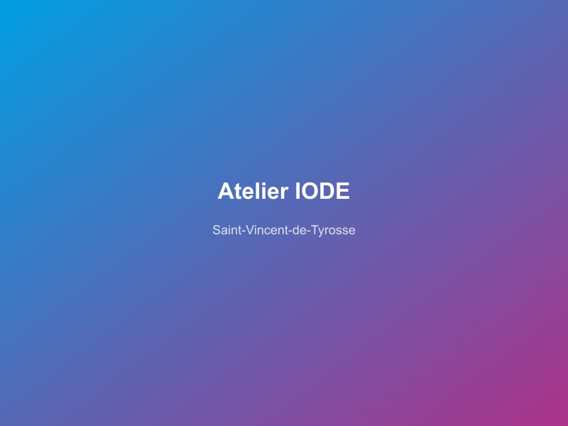 Atelier IODE à Saint-Vincent-de-Tyrosse — dépannage informatique